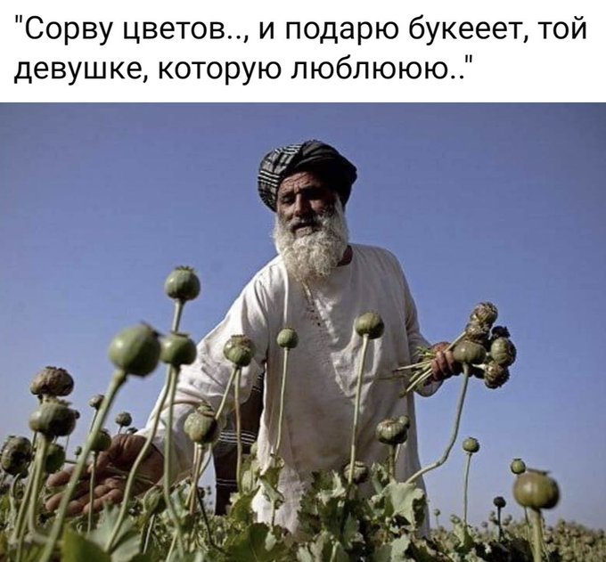 Афганістан може перетворитися на оплот терористів, - Меркель - Цензор.НЕТ 2766