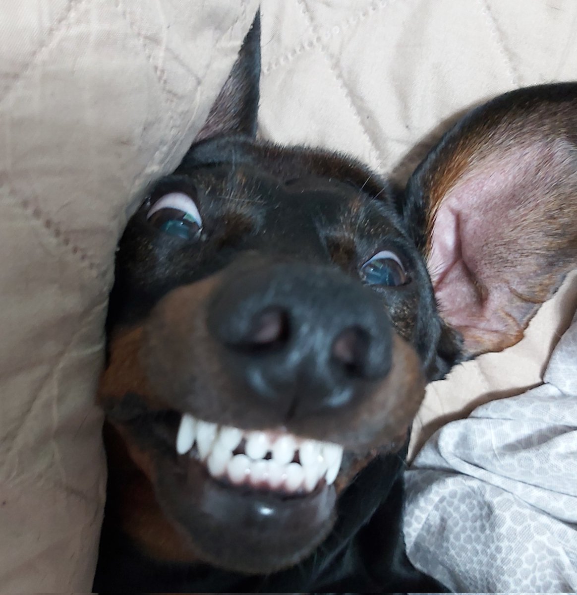 E niente, le ho detto che sono finite le ferie!