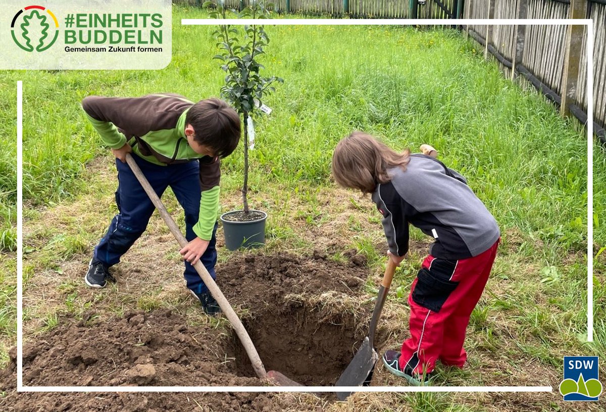 Nora und Erik finden das #Einheitsbuddeln ganz toll und haben in ihrem Garten bei #Mansfeld zwei junge Obstbäume gepflanzt. 🌳🌱🌳
„Wir wünschen uns, dass sich noch viele andere der Initiative anschließen und ihre Umgebung durch neue #Bäume etwas grüner und lebendiger gestalten.“