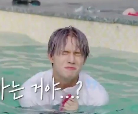 LQ_zeus's tweet photo. 진짜 못 말리는 포도알 근데 이제 약간 강아지를 곁들인 https://t.co/k2hXtU7oBf