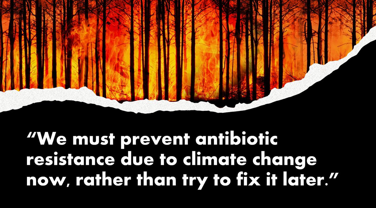 TheUrgentNeed's tweet photo. As #ExtinctionRebellion begin new protests to demand action on the #ClimateEmergency, it's worth remembering the devastating impact climate change has on #AntibioticResistance. 
Great article on the link between #AMR and #climatechange by @JasonPBurnhamMD: https://t.co/1xySGl5I32 https://t.co/o9BTZqMAft