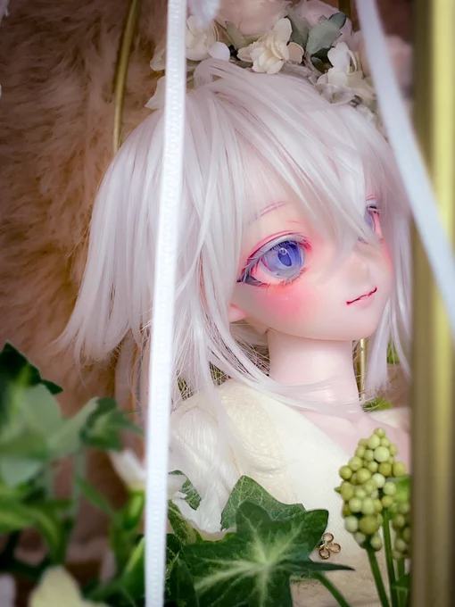 本日終了の白い子この子に似合うかなと思って、ちょっと高いドームでアイを作ってみました透明感が伝わるといいな...! 