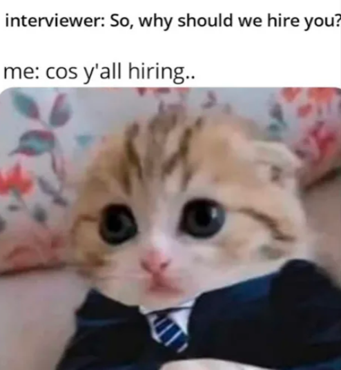 AdeccoRomania's tweet photo. De ce crezi că ești un candidat potrivit? #meme #monday #interview #jobinterview #job #hiring #recruitment #adeccoromania https://t.co/wbfgM2WcnH