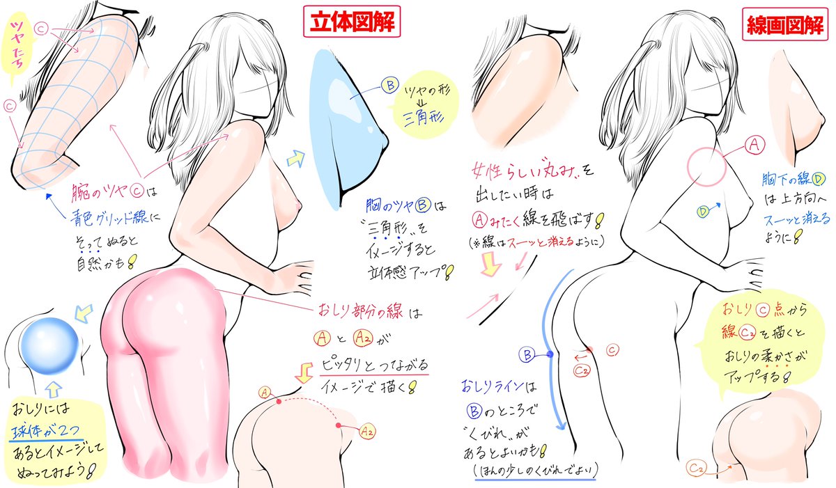 コツだけ知りたい‼️ってときの

『女性の体デッサンの描き方4P図解』 