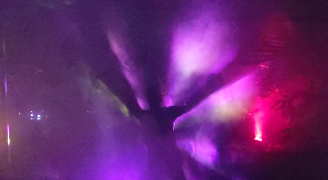 Biosystems Event Productions tweet media