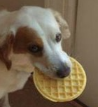 woofer,. tweet media