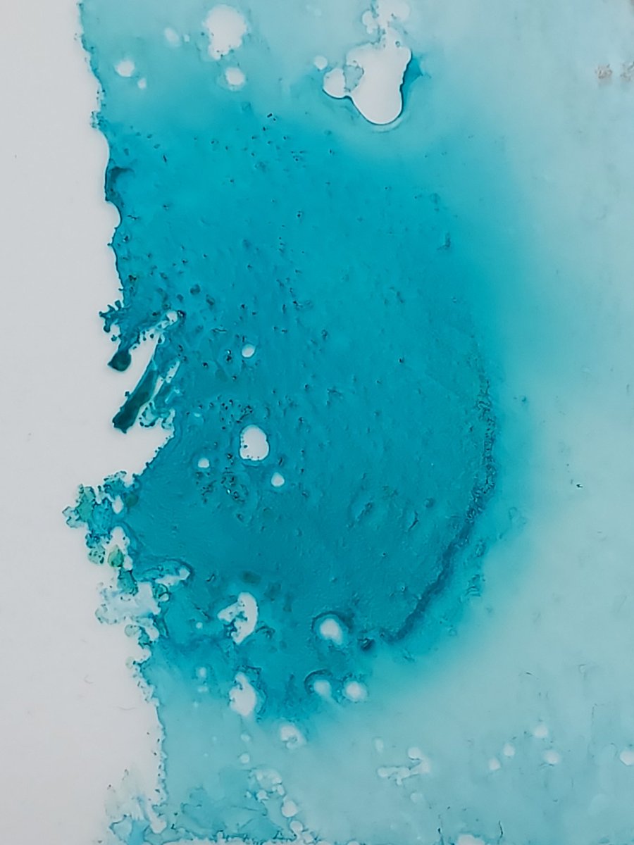 SeheeArt's tweet photo. Inside no.2
#artist #art #artwork #experiment #blue #green #expression #abstractart #abstractpainting #contemporaryart #contemporarypainting #emotions #artplay #color #decoration #deco #sehee #painting https://t.co/EzpfXwIwl7