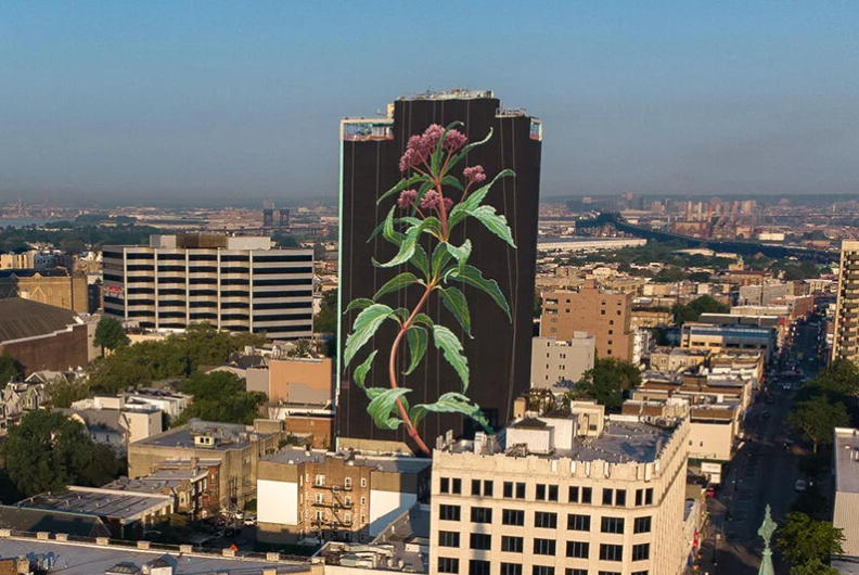 LandscapeEvent's tweet photo. How tall can you flower grow? Giant wildflower blossoms across a 20-storey façade in jersey city, US - By Moana Caron
#art #artist #flower #wildflower #design #inspiration #urbandesign #beautiful #painting #monacaron #phytograffiti
https://t.co/59Up4Oyxhk via @designboom https://t.co/9cGwvklIT6