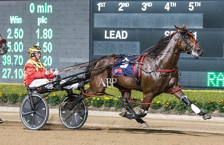 A brilliant sprinter and a genuine racehorse, Jilliby Kung Fu met and defeated the best horses of his era including Lazarus, Lennytheshark, Tiger Tara, Soho Tribeca and Our Uncle Sam.

facebook.com/12146557180349…