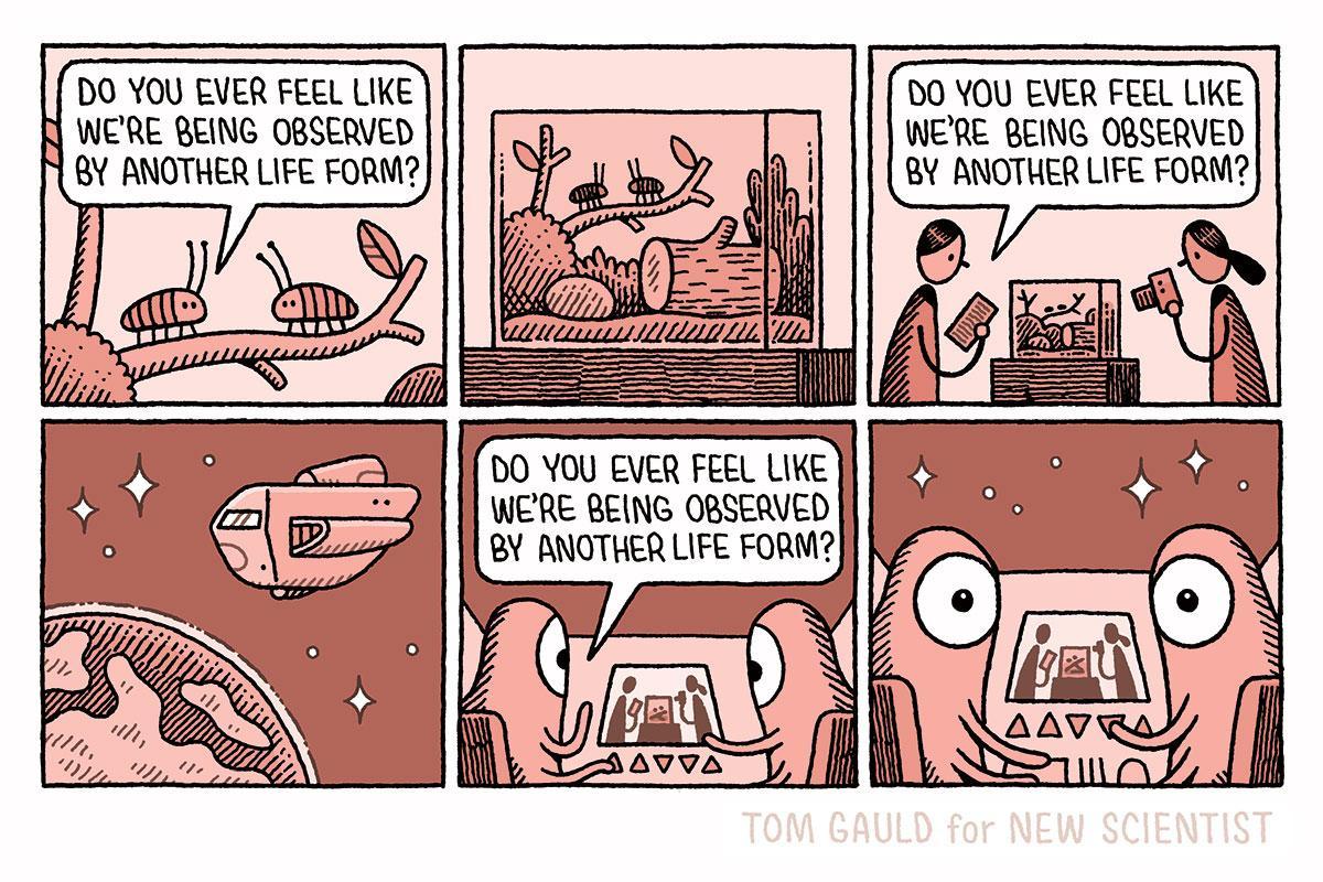 My latest cartoon for @newscientist #science #observation #life
p.s. my new book is out tomorrow in north america! https://t.co/MnvNrWVRAw