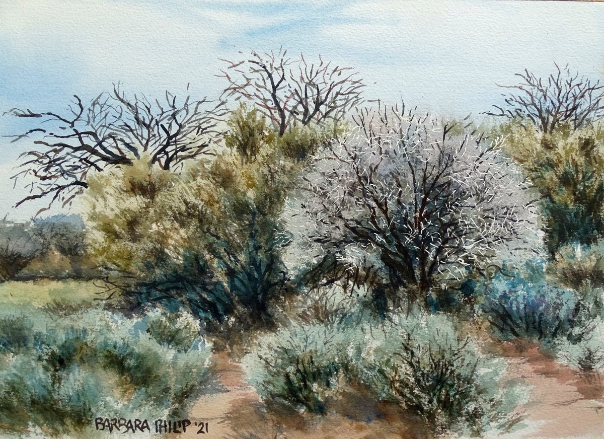 BarbaraPhilip6's tweet photo. At last my contribution to the painting challenge. Trees on Silvermere. https://t.co/YVPG5csiTF