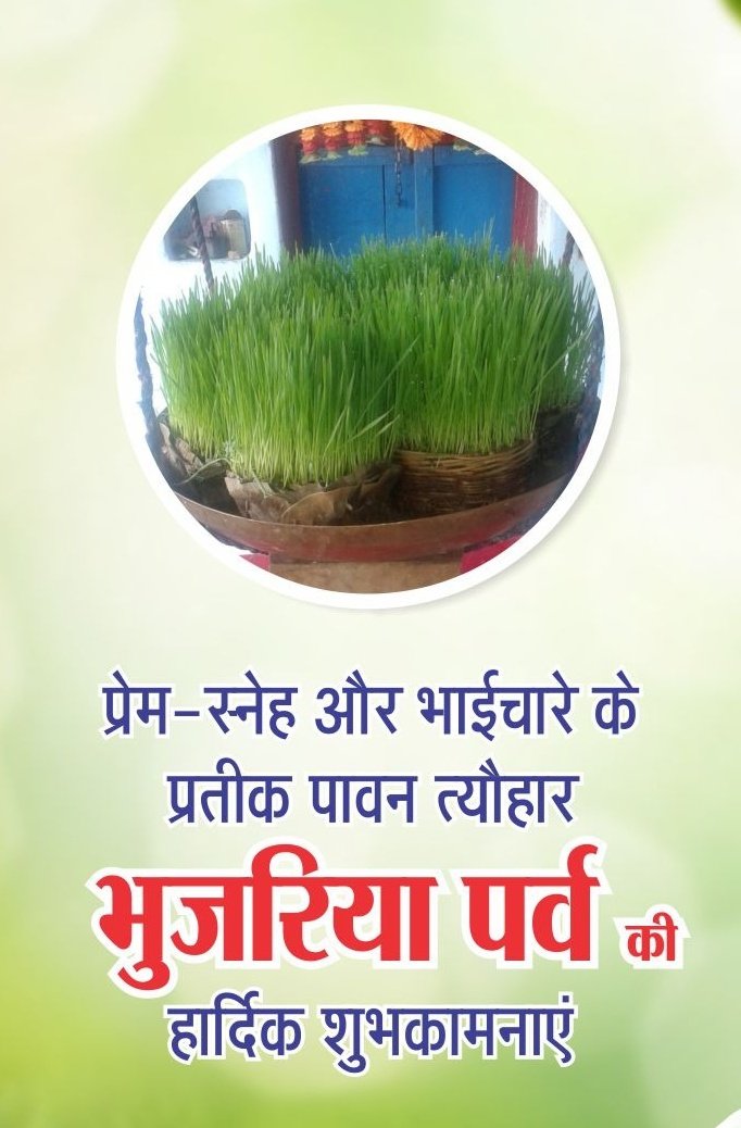 Bjym4panna's tweet photo. प्रेम, स्नेह और भाईचारे के प्रतीक पावन त्यौहार #भुजरिया पर्व की हार्दिक शुभकामनाएं।
#bhujriya https://t.co/y2wIDot4vm
