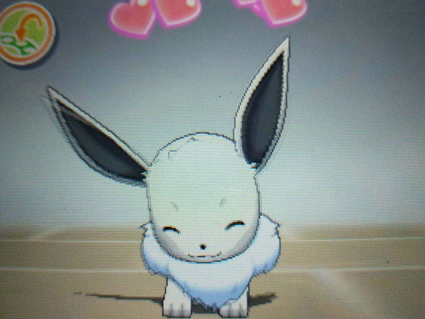 イーブイ可愛い Twitter Search Twitter