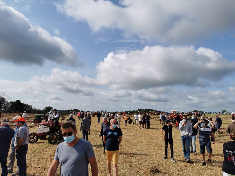 Baugé-en-Anjou tweet media