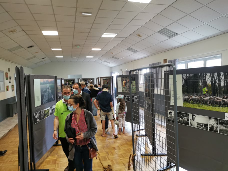 Baugé-en-Anjou tweet media