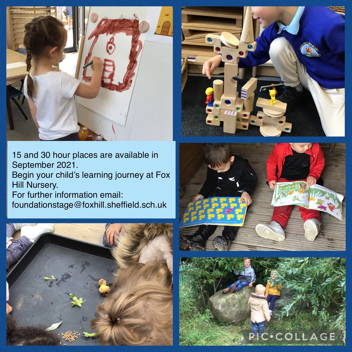 Fox Hill Nursery tweet media