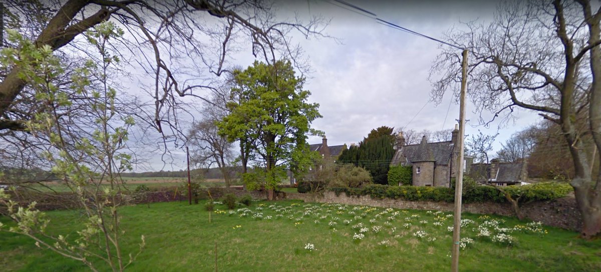 1990s. Ahhh the orchard, not under 4ft of wilderness