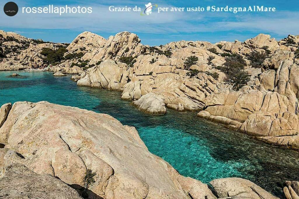 SardegnaAlMare's tweet photo. From https://t.co/EqygCc0KOy
Dall'isola di Caprera 🌊 ❤ ⛵ # SardegnaAlMare #spiaggia #sardegna #sardinia #ichnusa #caprera #isoladicaprera #capreraisland #lamaddalena #isoladellamaddalena #arcipelagodellamaddalena #isoladilamaddalena #arcipagodilamad… https://t.co/Iw45PkLdDx https://t.co/NVePQ0h7mq