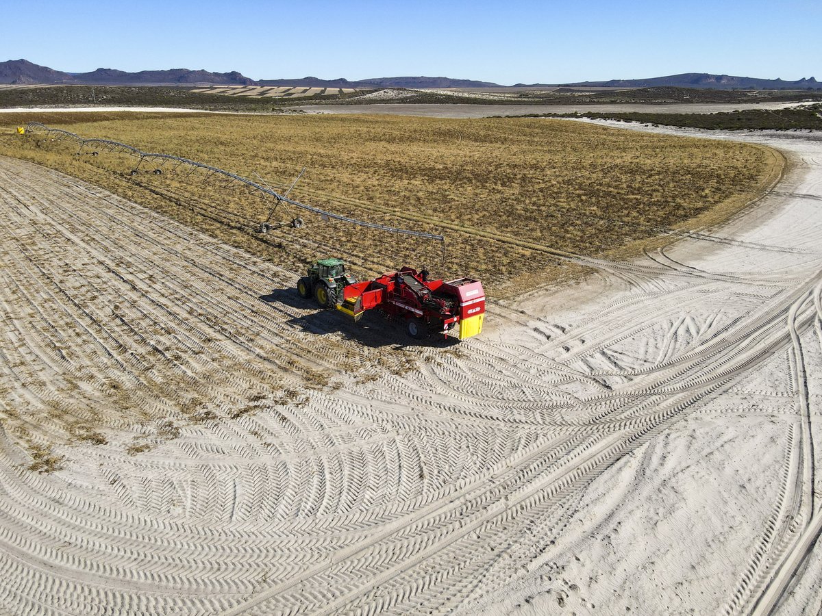 GRIMMEGroup's tweet photo. #PotatoMonday
Potato harvest with our SE 260 on white sand in Africa. 
#GRIMME #GRIMMEGroup #SE260 https://t.co/uDJIuUl2Ka