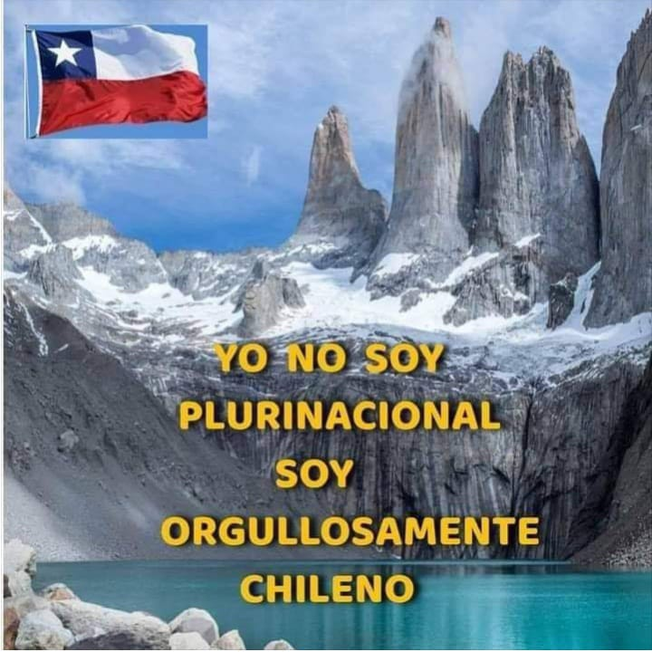 TERE_LAprofe73's tweet photo. YO NO SOY PLURINACIONAL , YO SOY ORGULLOSAMENTE CHILENA ....¿ Y TU ? https://t.co/ZiFqobTGVm
