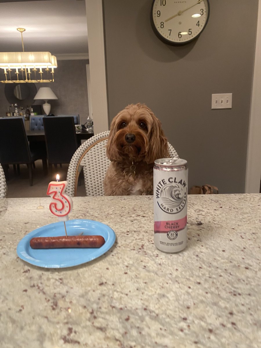 TheDogePoundNFT's tweet photo. Cuteness overload 😍

Some adorable photos from the dog photo contest in our Discord. Post a photo of your dog below 👇🏼 

Doges ❤️ Dogs https://t.co/xzcONdOVeB