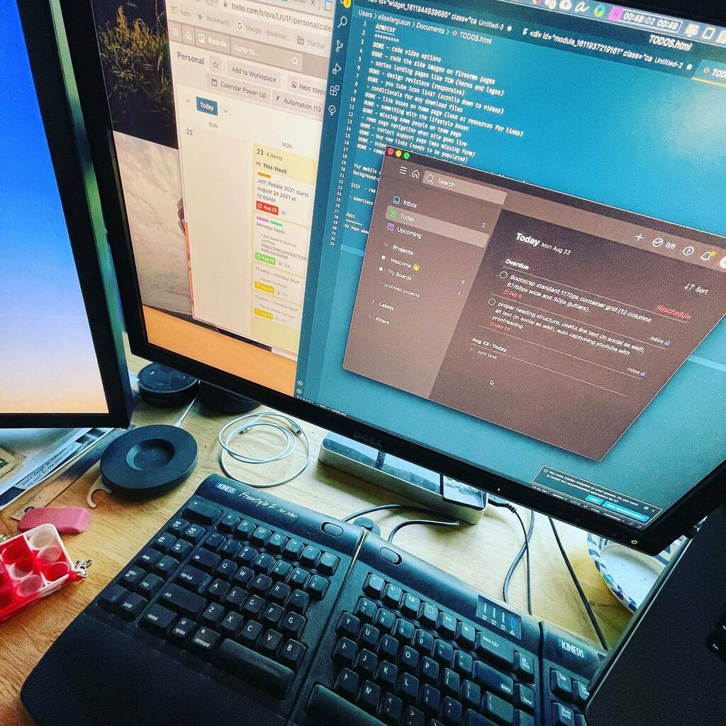 Elise Gaetz Ferguson tweet media