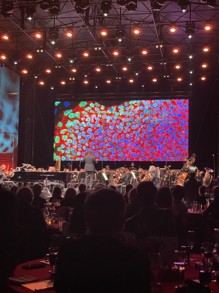 SanDiegoSteven's tweet photo. Spectacular evening at #symphonyatsalk with #joshgrobin Saturday. Raising $1.5M for science to change lives for the better. #salk #wherecuresbegin https://t.co/3rfYqumUid