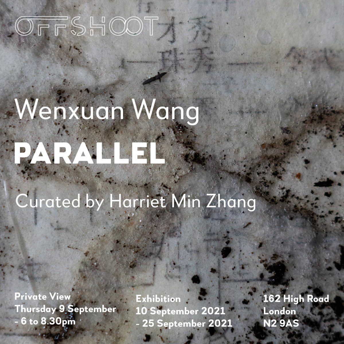 Offshoot Gallery tweet media