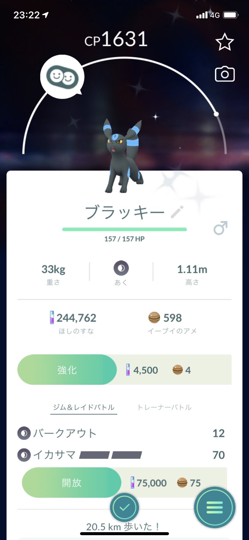 時を越えるポケモンを追え Twitter Search Twitter
