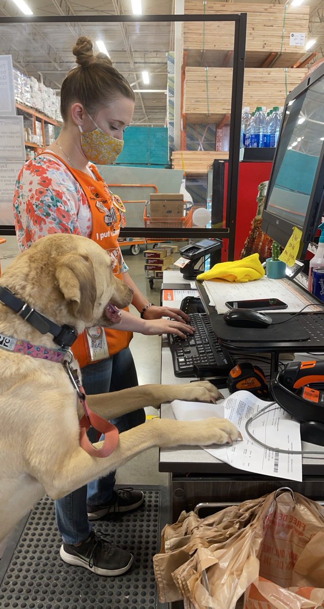 Kylie training our new furry friend Riley !
