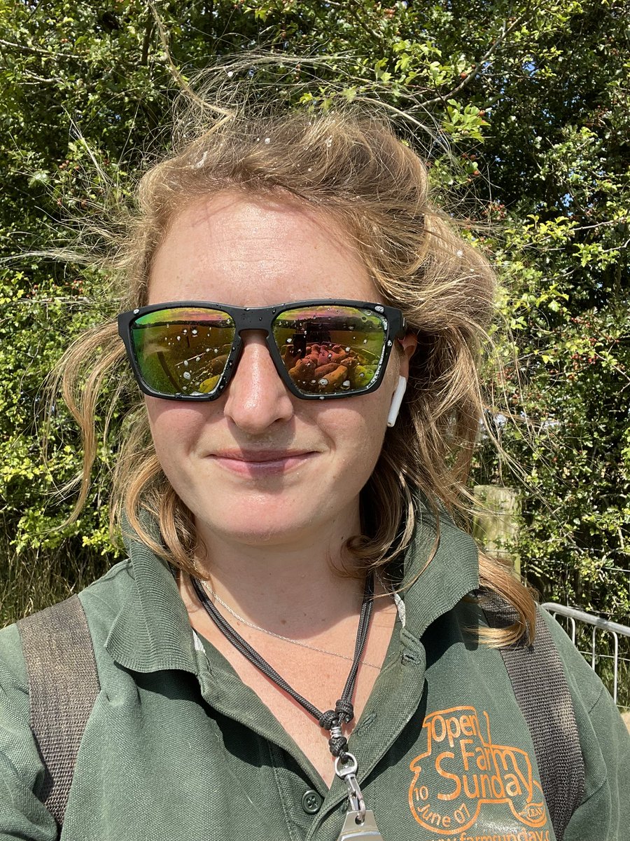 shepherdess23's tweet photo. For anyone who thinks farming is a glamorous job…

…A Tup sneezed as i was worming him, I’m now covered! 

On the upside i wont get worms anytime soon 

#sheep365 #shepherdess #sheepfarming #farmlife #livestock #glamorous #tups #sheepfarmer https://t.co/a2OsqnyCph