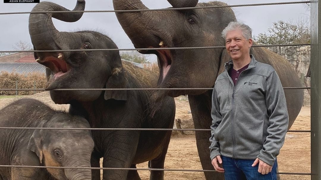 SyracuseZoo's tweet photo. Studying elephants in human care is the only way that sufficient knowledge about and research into EEHV, and ultimately therapeutic drugs or vaccines, will be developed and help elephants in range countries. #AsianElephantAwarenessMonth #EEHVawareness #StompOutEEHV #savingspecies https://t.co/WckoddskvR
