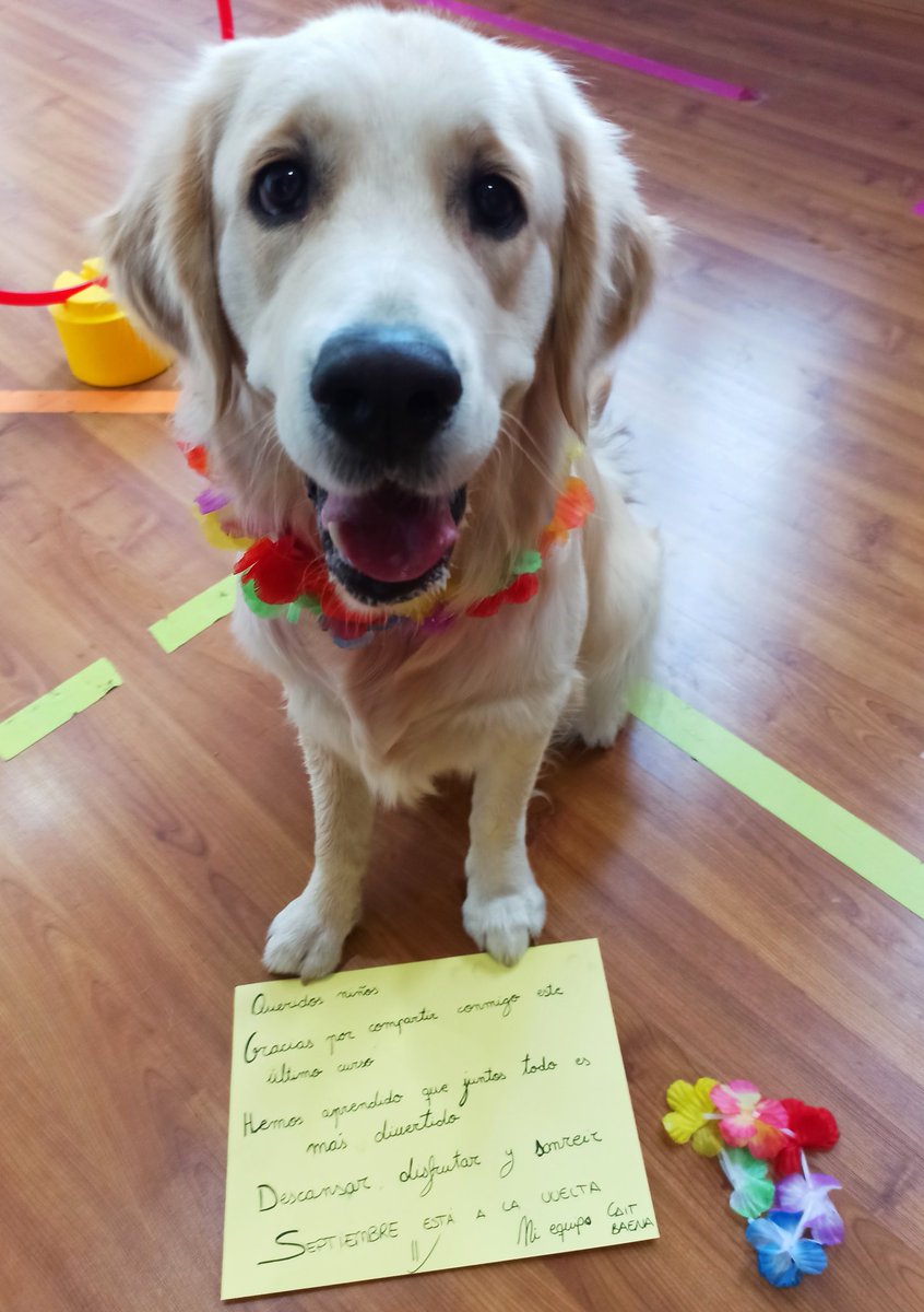 Ella se va de vacaciones también! ❤ 
Desconectar todos!