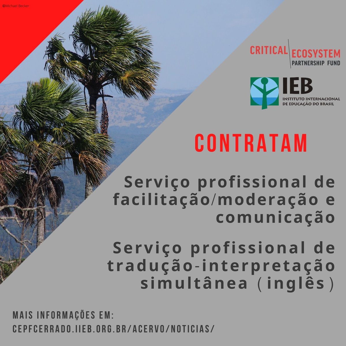 cepfcerrado's tweet photo. #oportunidade
O @iieboficial divulgou na sexta (20/8) dois termos de referência para contratação de serviços profissionais para realização do encontro final do #CEPFCerrado.
📲 Acesse o link para mais informações: https://t.co/1ZrdBn4OdN
📩 Candidaturas devem se enviadas até 10/9 https://t.co/Xudz3HrgMf