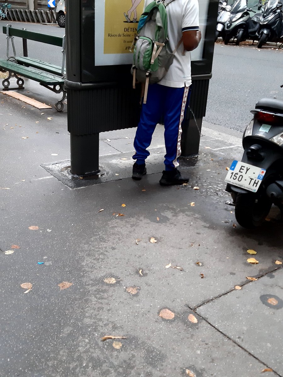 Qui c'est qui fait pipi partout ? 🤔 Après avoir descendu des litres de bière ? #saccageparis