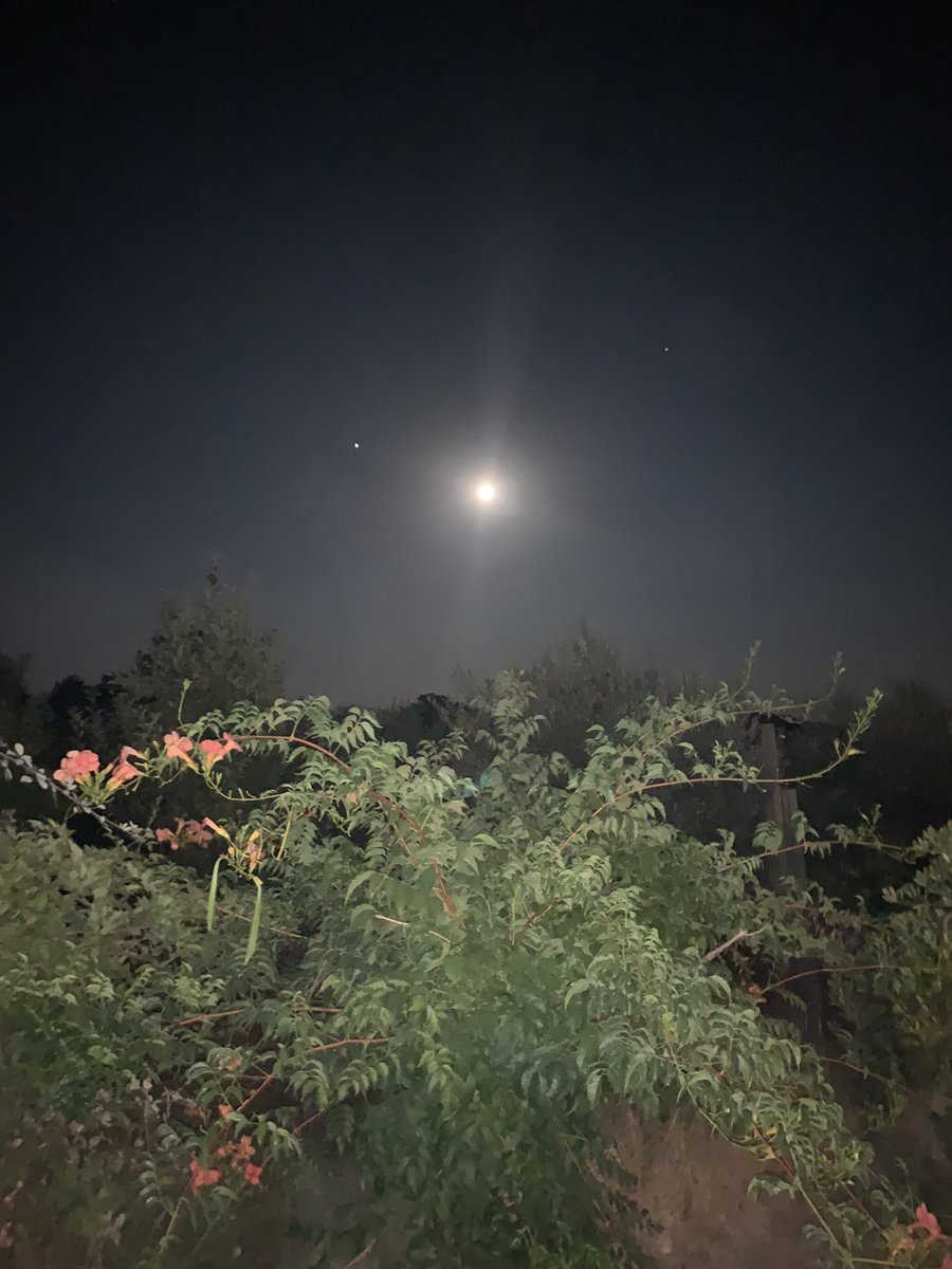 Cartolinformatk's tweet image. 