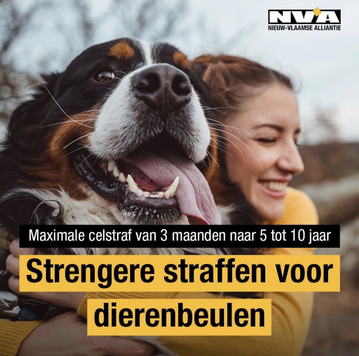 NVA_Boutersem's tweet photo. Slechts één woord: TERECHT‼️

#dierenwelzijn #dierenbescherming https://t.co/AIWfSH6ee4