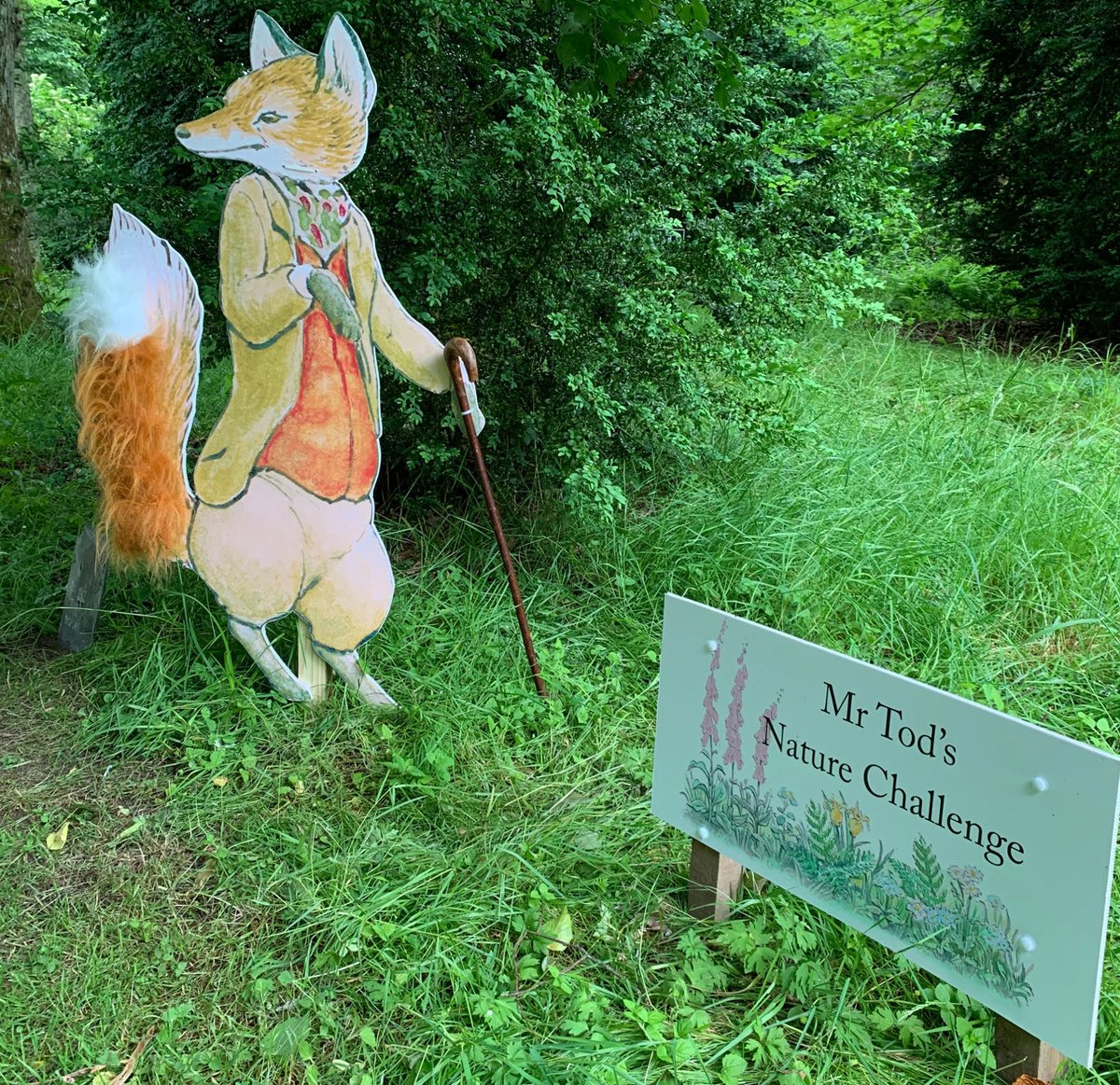 BeatrixPotterSo's tweet photo. Last week to see!

Join Peter Rabbit and his friends for an action-packed, educational Nature Trail through the gardens and woodlands of @FloorsCastle.

The trail will run 7 days a week until 31st of August, 10.30am- 4pm

#beatrixpotter #floorscastle #peterrabbittrail https://t.co/m1I1FplQdl
