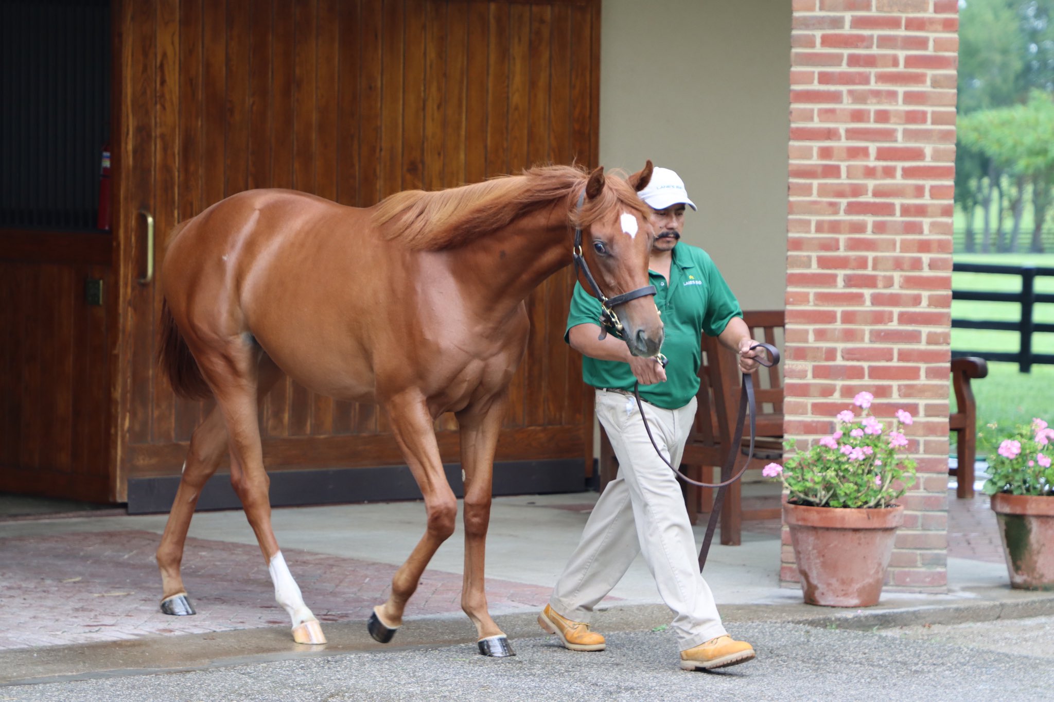 Zenyatta News - Page 64 - Horse Racing Forum - USA Thoroughbred Races