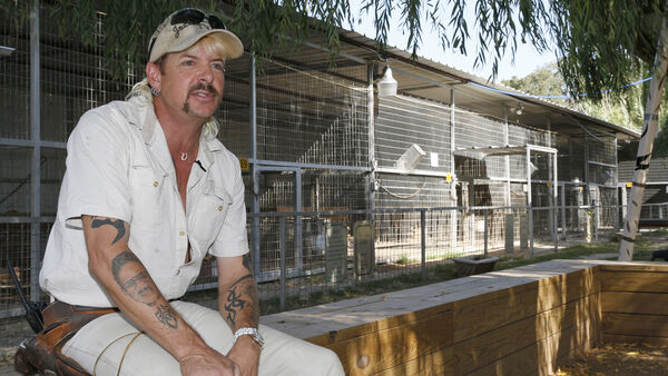 wildlifeinteloz's tweet photo. Happy days!!  Animals from Tiger King Park will be handed over to the US government after Jeff and Lauren Lowes "showed a shocking disregard for both the health and welfare of their animals”. 
https://t.co/AGSh4c2dgy https://t.co/Iw8M05PEd0