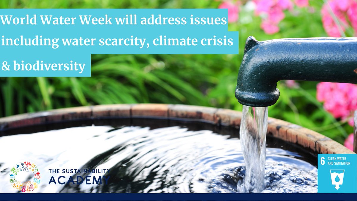 CosmoEducates's tweet image. This week is World Water Week where over 50 online sessions will be held to provide a focal point for the globe's water issues. Follow @WorldBankWater or check out #wwweek to stay informed

#sustainability #education #GlobalGoals