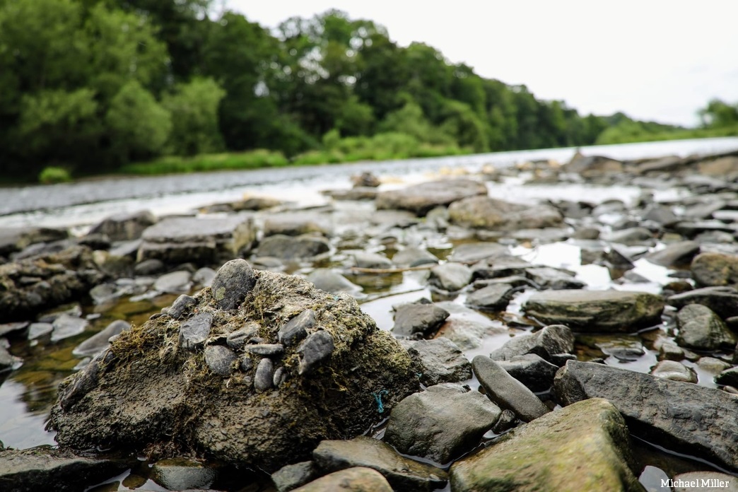 WildlifeTrusts's tweet photo. Pollution is devastating the River Wye.  
Chemicals from chicken farms are entering the river along with other waste. If this continues, the fish will go followed by the kingfishers, dippers, and herons. 
Please help us demand action!! 👇 
https://t.co/VLi5PF1hqA https://t.co/ROQ0EnuOjf
