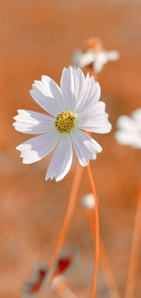 ElizOk (@elizok1) on Twitter photo <a href="/hada_protectora/">♥♥Hada Protectora♥♥</a> <a href="/littlefirefly66/">Luz Milagro</a> <a href="/NestorFerivero/">Néstor Fernández</a> <a href="/aucuario/">Aurora</a> <a href="/Yo_Soy_Peque_/">✰ᩏꫀᧁꪊꫀ ✰</a> <a href="/RossVzla29/">LOVE AND PEACE</a> <a href="/Marpfa/">Маria Elena 🌻</a> Buen día. Bendiciones. Abrazo <a href="/hada_protectora/">♥♥Hada Protectora♥♥</a> <a href="/littlefirefly66/">Luz Milagro</a> <a href="/NestorFerivero/">Néstor Fernández</a> <a href="/aucuario/">Aurora</a> <a href="/Yo_Soy_Peque_/">✰ᩏꫀᧁꪊꫀ ✰</a> <a href="/RossVzla29/">LOVE AND PEACE</a> <a href="/Marpfa/">Маria Elena 🌻</a> Buen día. Bendiciones. Abrazo