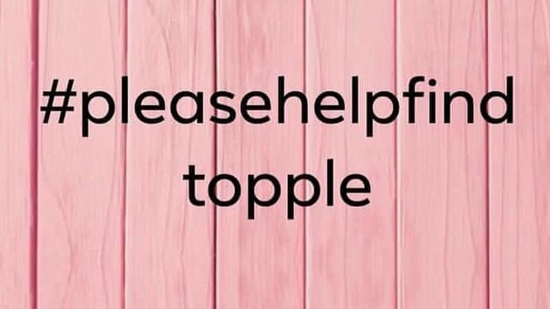 HelpFindTopple tweet picture
