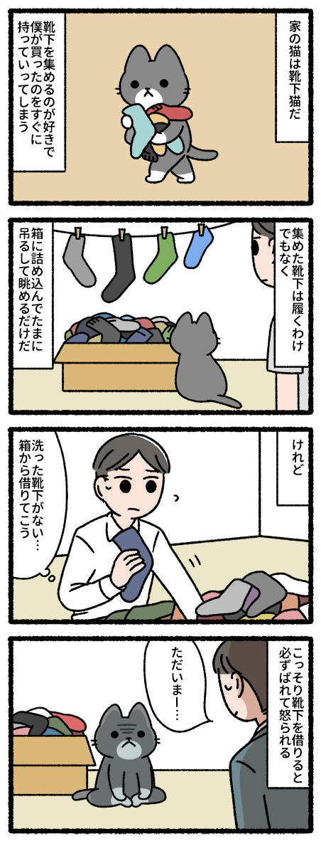靴下猫 