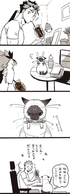 ネコには解らない。
※飼い主槍、飼い猫弓 