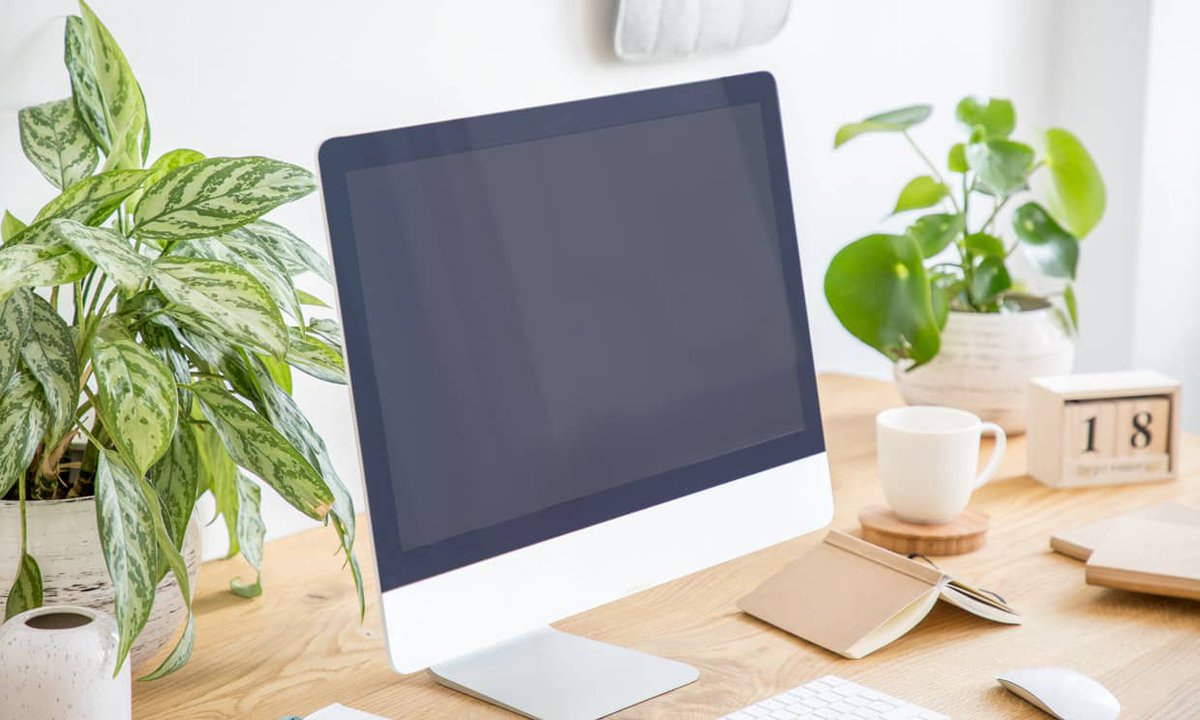 ¿Cuáles son las mejores #Plantas para la oficina? - is.gd/lklOIL