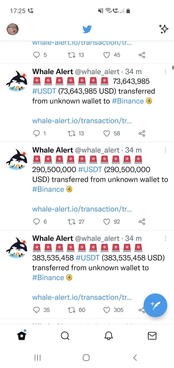 whale alert twitter