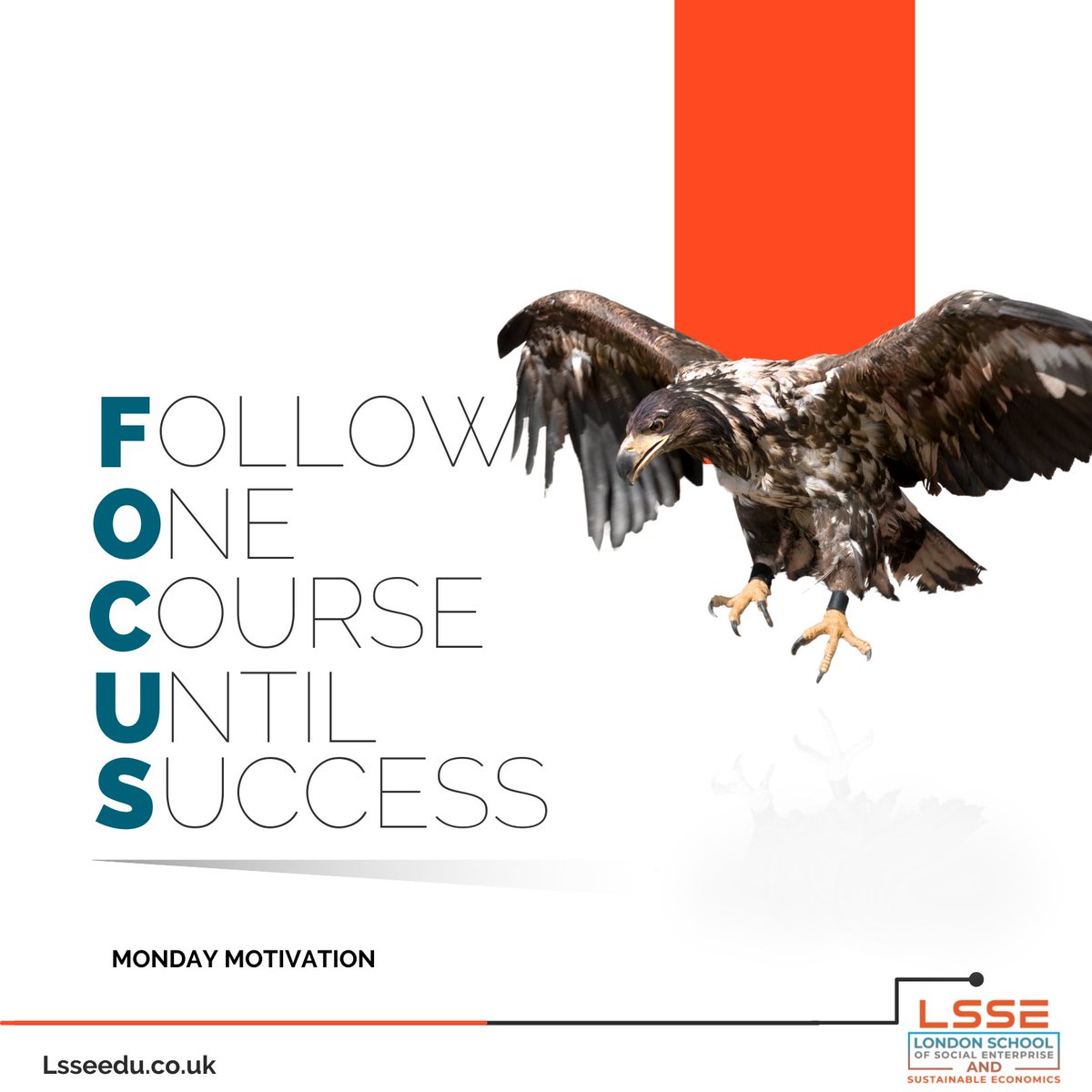 LSSEedu's tweet photo. Stay focused, go after your dreams and keep moving towards your goals.

#mondaymotivaton #mondaythoughts #socialenterprise #onlinecourses https://t.co/5tE8bxNlK4