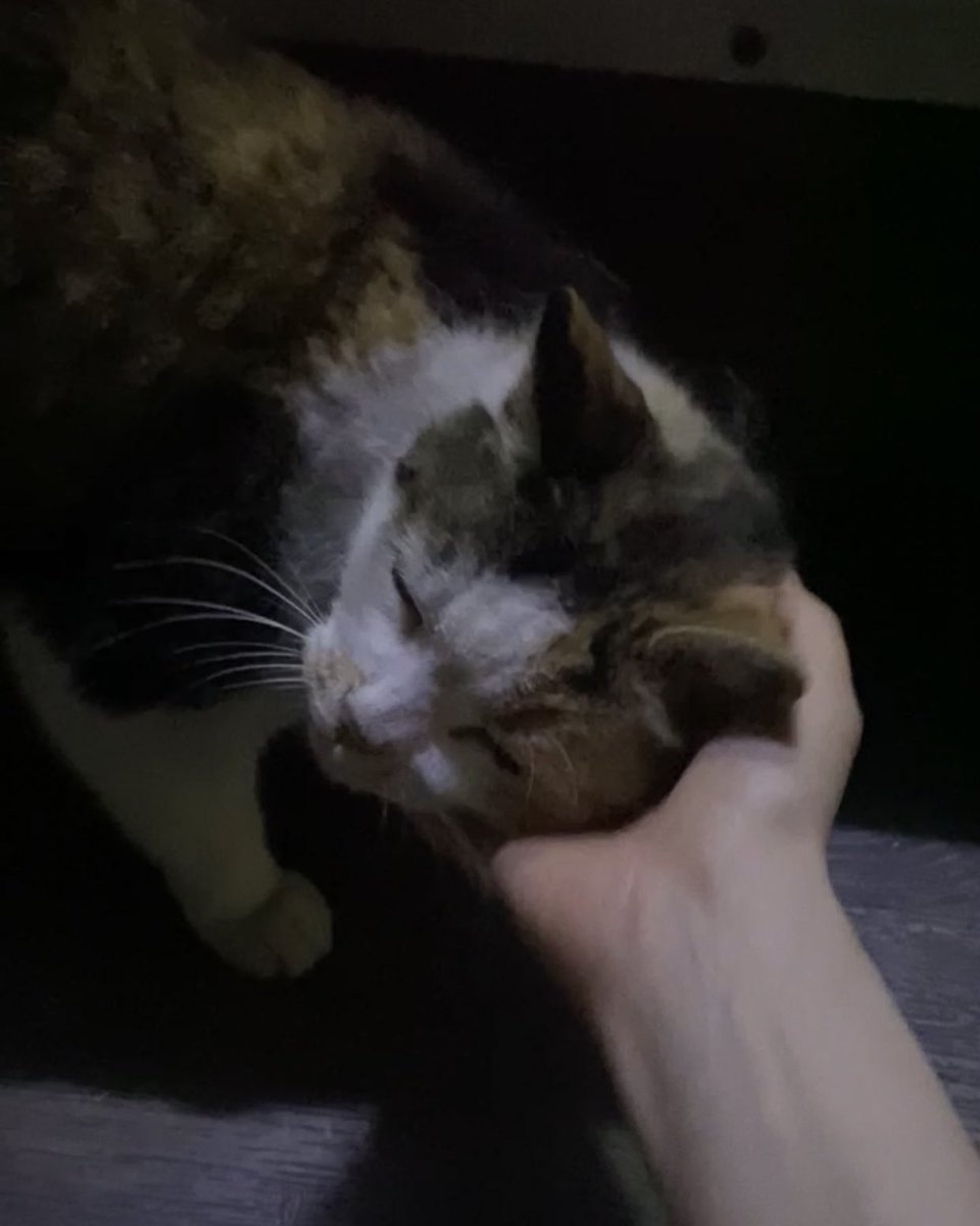 กับน้องหนาว                           กับพี่น่า 
55555555555555555555555555555555555555555555555555555555555555